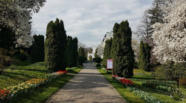 UBB redeschide Grădina Botanică