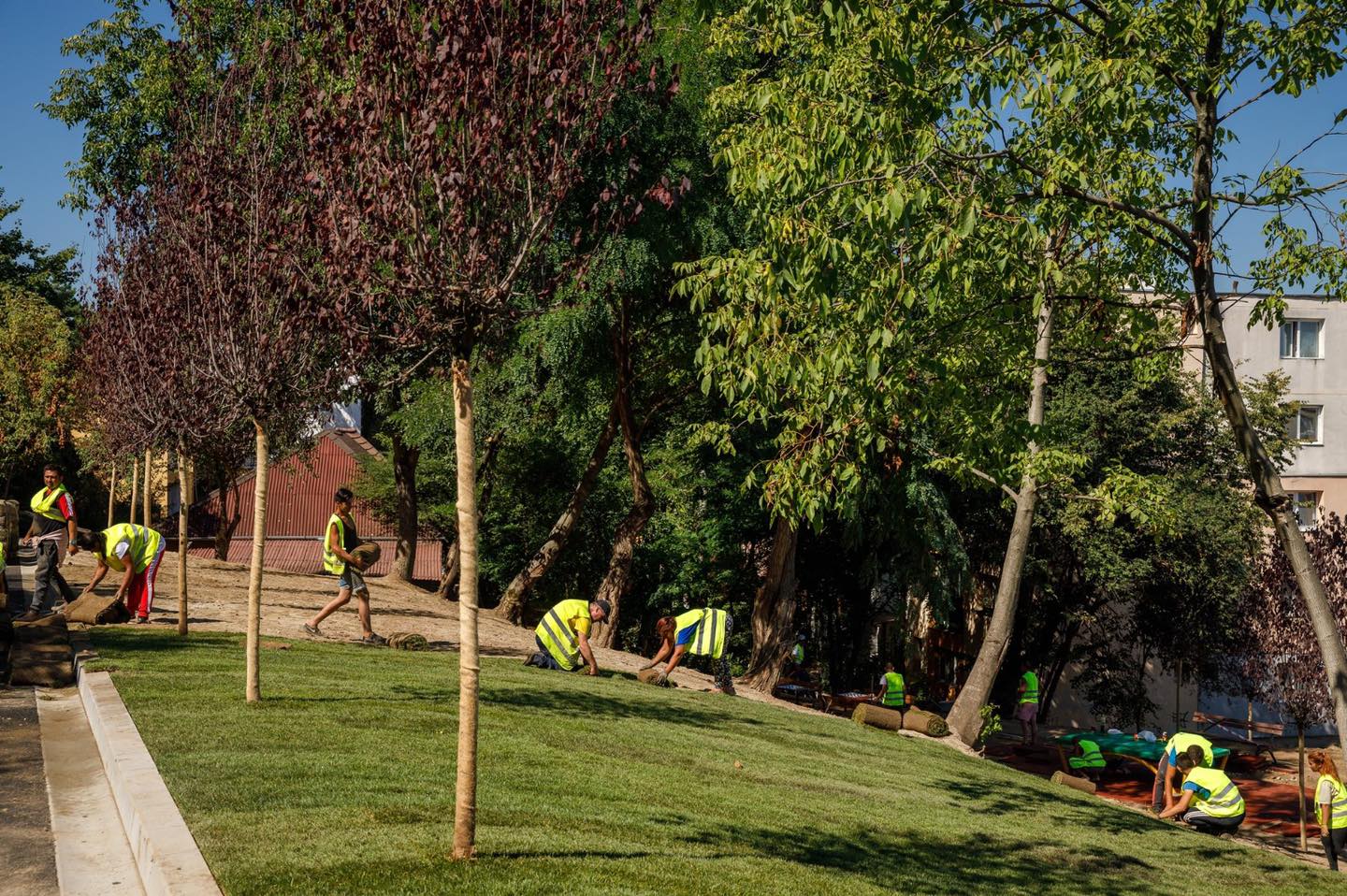 (Foto) Un nou parc de cartier în Cluj Napoca. Emil Boc: „Împreună cu colegii mei am dat azi „o mână de ajutor🤗” la montarea gazonului rulat din parcul adiacent parkingului Primăverii 20” 6
