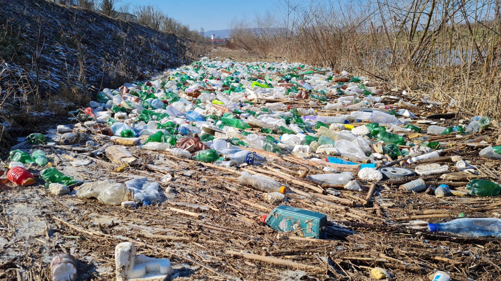 (Foto) Cluj: Catastrofa ecologica pe malul Ariesului: cantitati industriale de pet-uri s-au adunat la doar cateva zile dupa ce zona a fost curatata 1