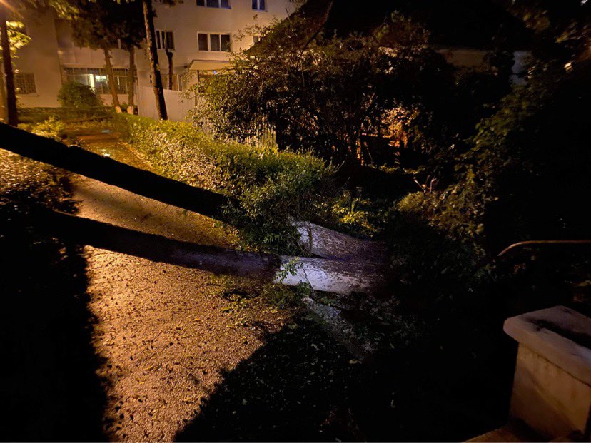 Foto Cluj. Urmările furtunii devastatoare de aseară. Ne-au ciuruit bine. Mașini și bănci distruse, copaci smulși din rădăcină . „De ce nu a primit nimeni alerta, ca vine vremea?” 4