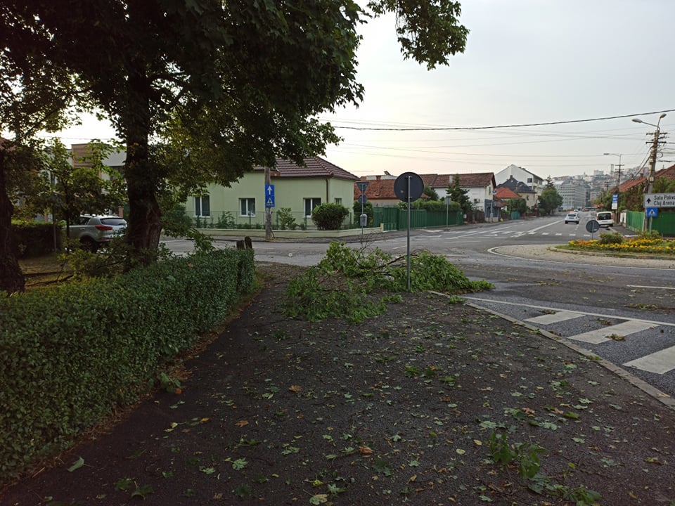 Foto Cluj. Urmările furtunii devastatoare de aseară. Ne-au ciuruit bine. Mașini și bănci distruse, copaci smulși din rădăcină . „De ce nu a primit nimeni alerta, ca vine vremea?” 7