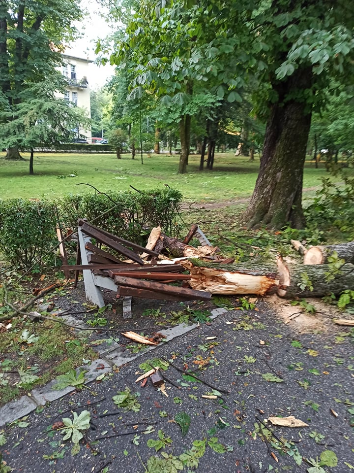 Foto Cluj. Urmările furtunii devastatoare de aseară. Ne-au ciuruit bine. Mașini și bănci distruse, copaci smulși din rădăcină . „De ce nu a primit nimeni alerta, ca vine vremea?” 8