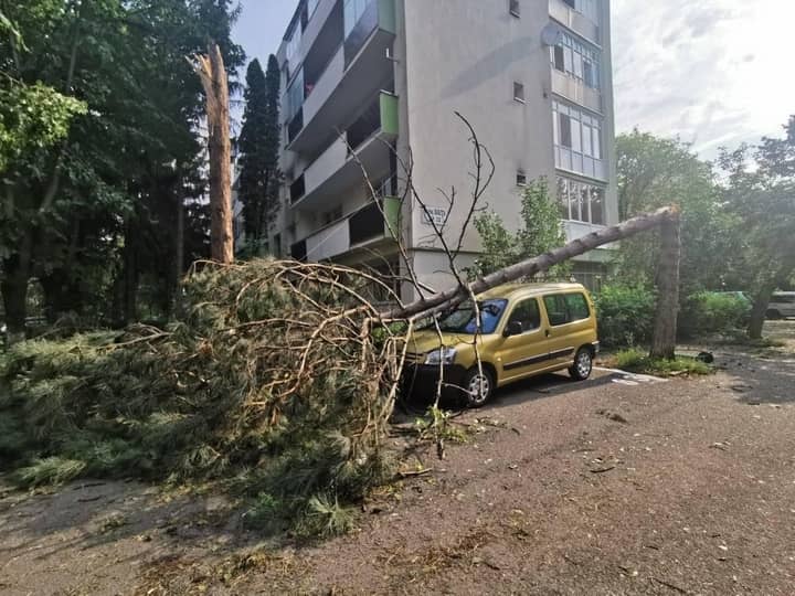 Meteorolog: „Vine canicula la Cluj și încep iar fenomenele extreme” 1