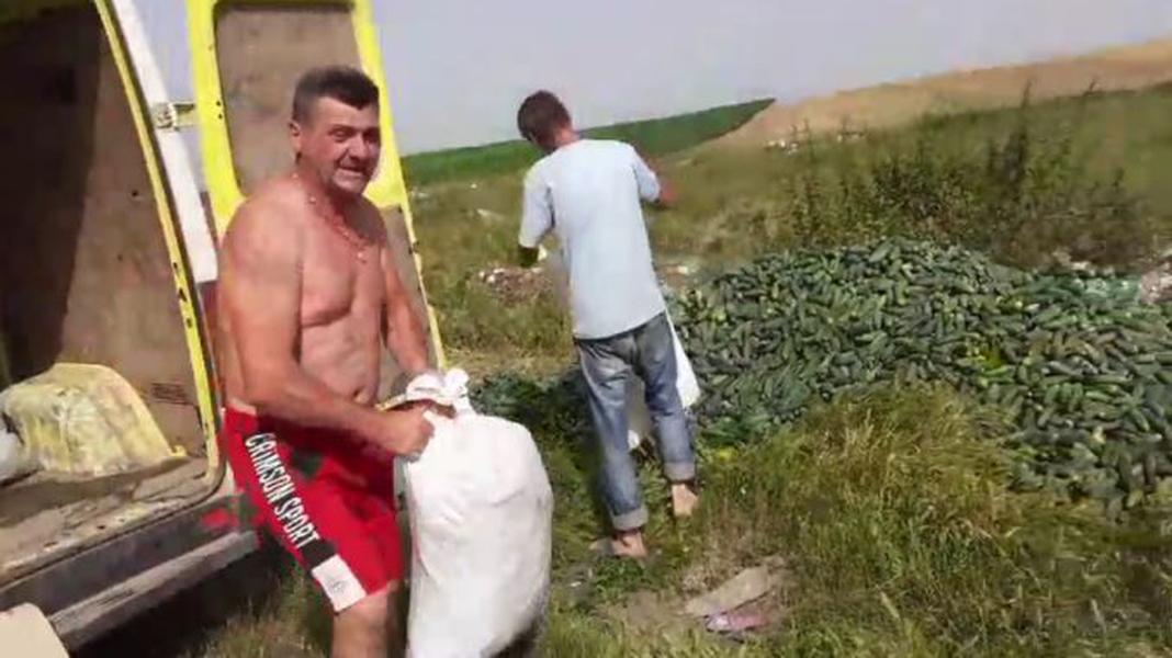 Drama agricultorului român. „La Cluj cumpărătorii vor roșii cu țâță, și-mi vine să iau foc” 2