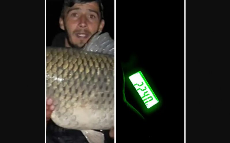 Captură record pe un lac din Cluj. Au prins un „monstru” de 22,4 kilograme 1