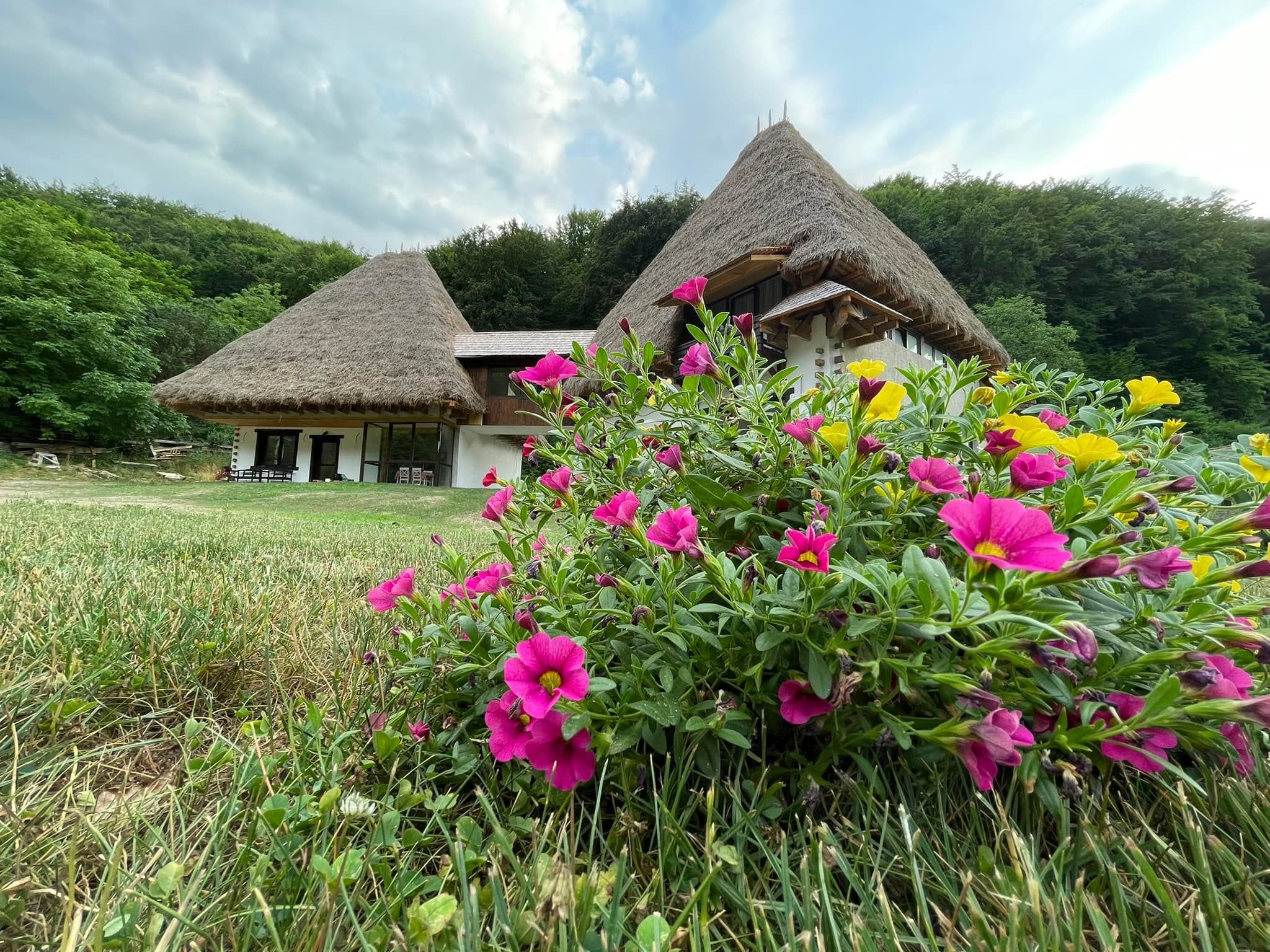 Comoara turistică aflată la o oră și jumătate de Cluj: Casa Catrinei, o locație de vis în mijlocul naturii 2