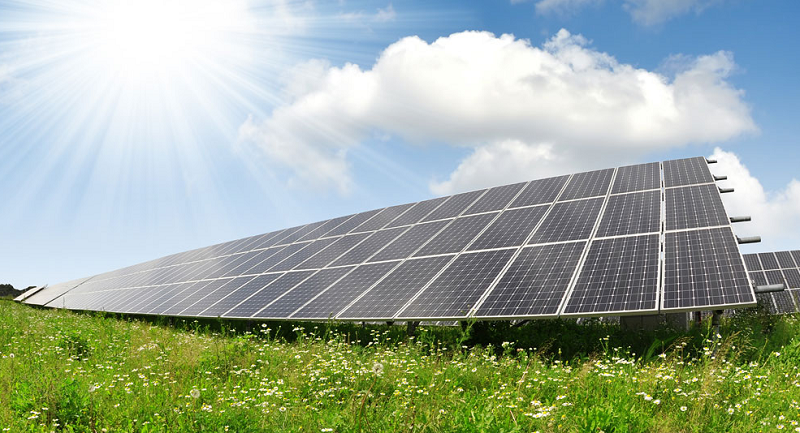 O firmă din Cluj Napoca va construi un parc fotovoltaic uriaș. Investiție de peste 100 de milioane de euro 1