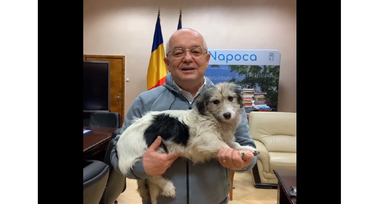 Video Cluj. Emil Boc a găsit un cățeluș. „Dacă-l recunoașteți, vă rog să sunați cu încredere. Este chiar în Biroul Primarului” 1