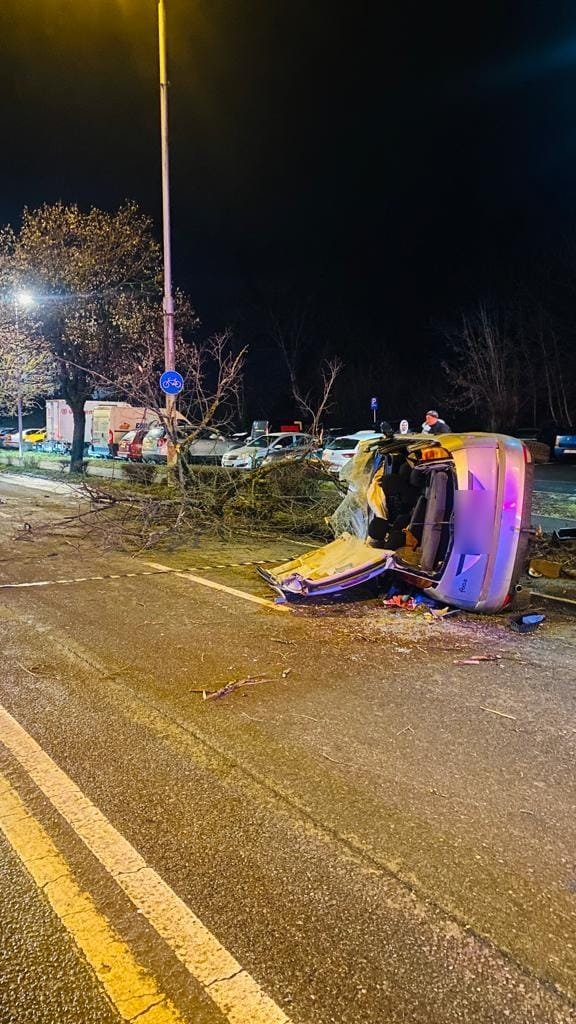 (Foto) Cluj: Accident grav pe strada Bucium. Un copac a fost smuls din rădăcini după impactul cu autoturismul 2