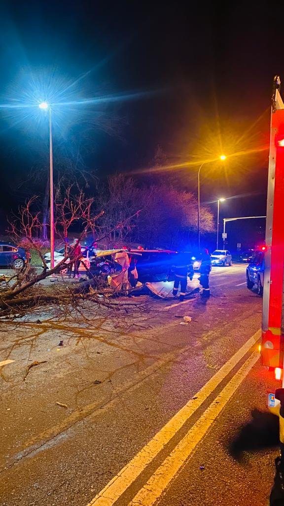 (Foto) Cluj: Accident grav pe strada Bucium. Un copac a fost smuls din rădăcini după impactul cu autoturismul 3