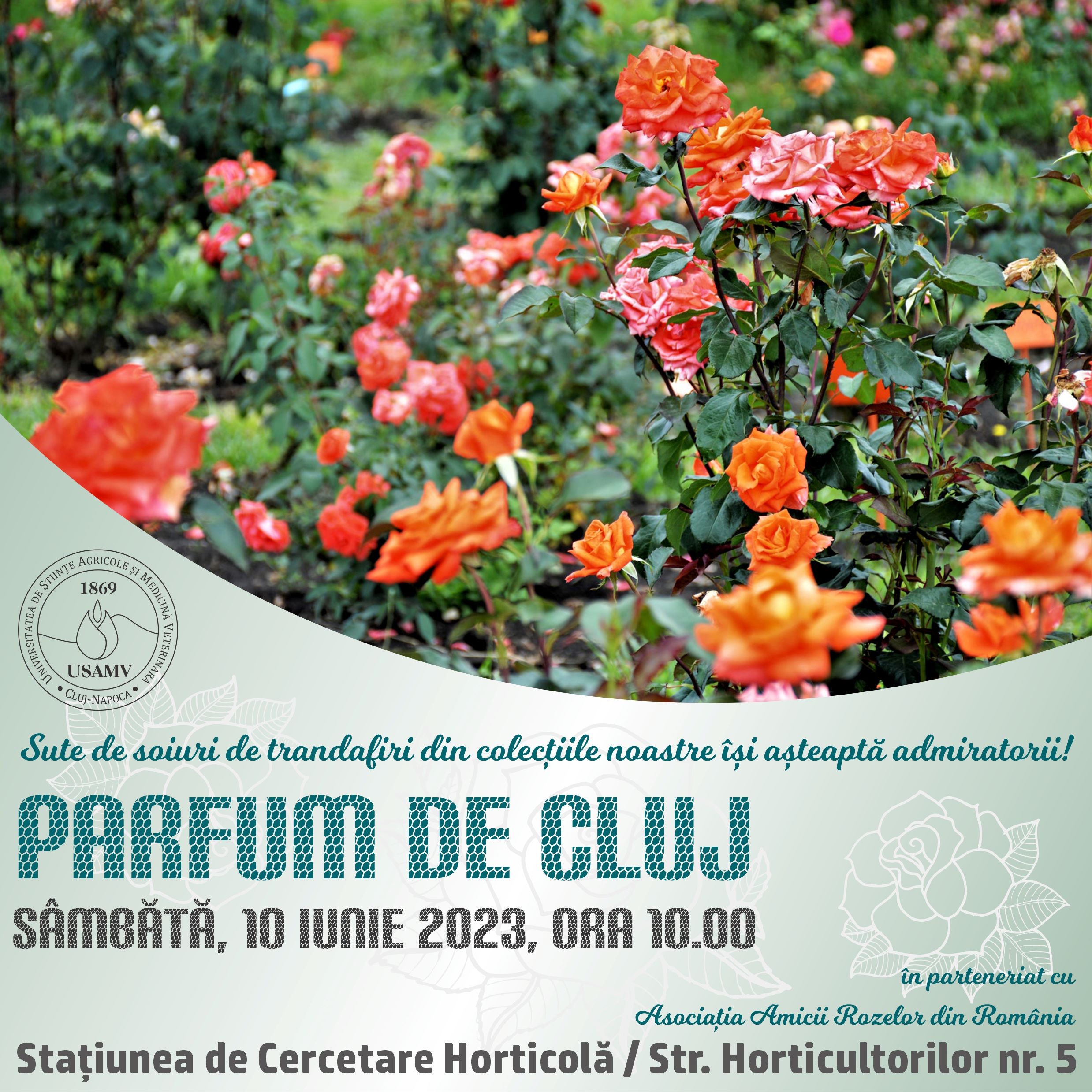„Parfum de Cluj”, evenimentul anual în care poți vizita colecția de peste 300 de soiuri de trandafiri, are loc sâmbătă 1