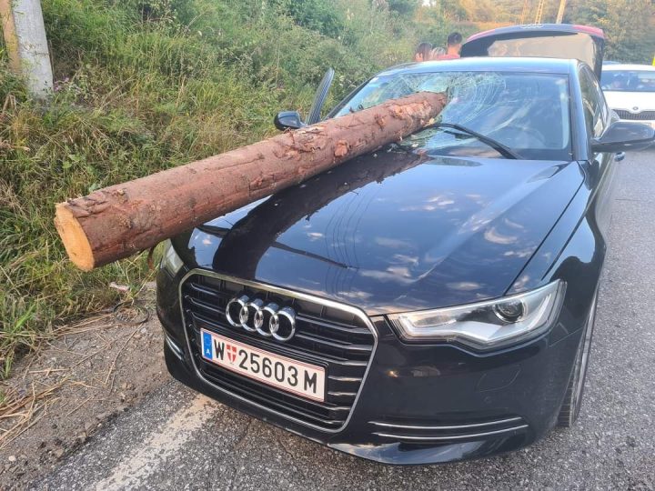 (Foto/Video) Un buștean dintr-un tir a străpuns parbrizul mașinii care circula în spate, pe DN 10. Bușteanul a pătruns prin mijlocul parbrizului și s-a oprit dincolo de tetierele scaunelor din față 3