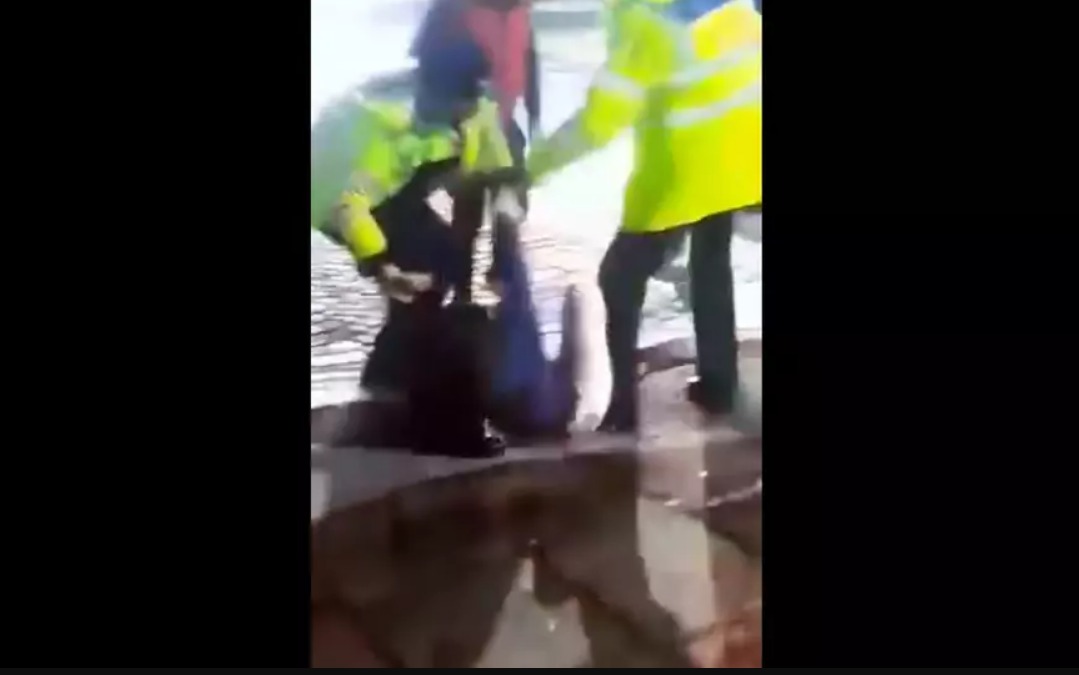 (Video) Soferita la pământ, lovită de un polițist, după ce a devenit agresivă. Era într-o mașină cu numere false 1
