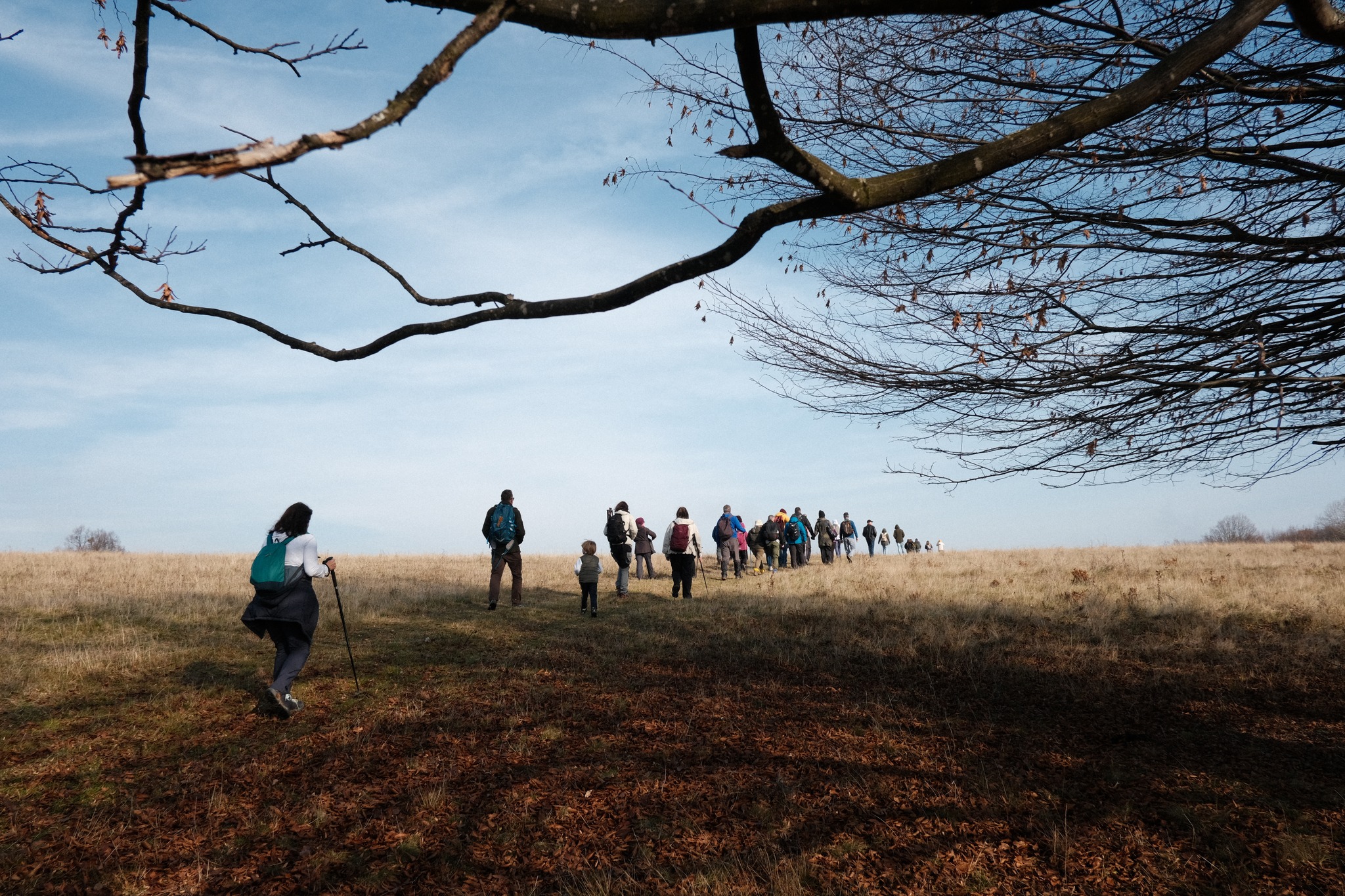 Un sat din Cluj devine atracție culturală. A fost inaugurat traseul tematic „Poteci cu Povești – Aluniș” 1