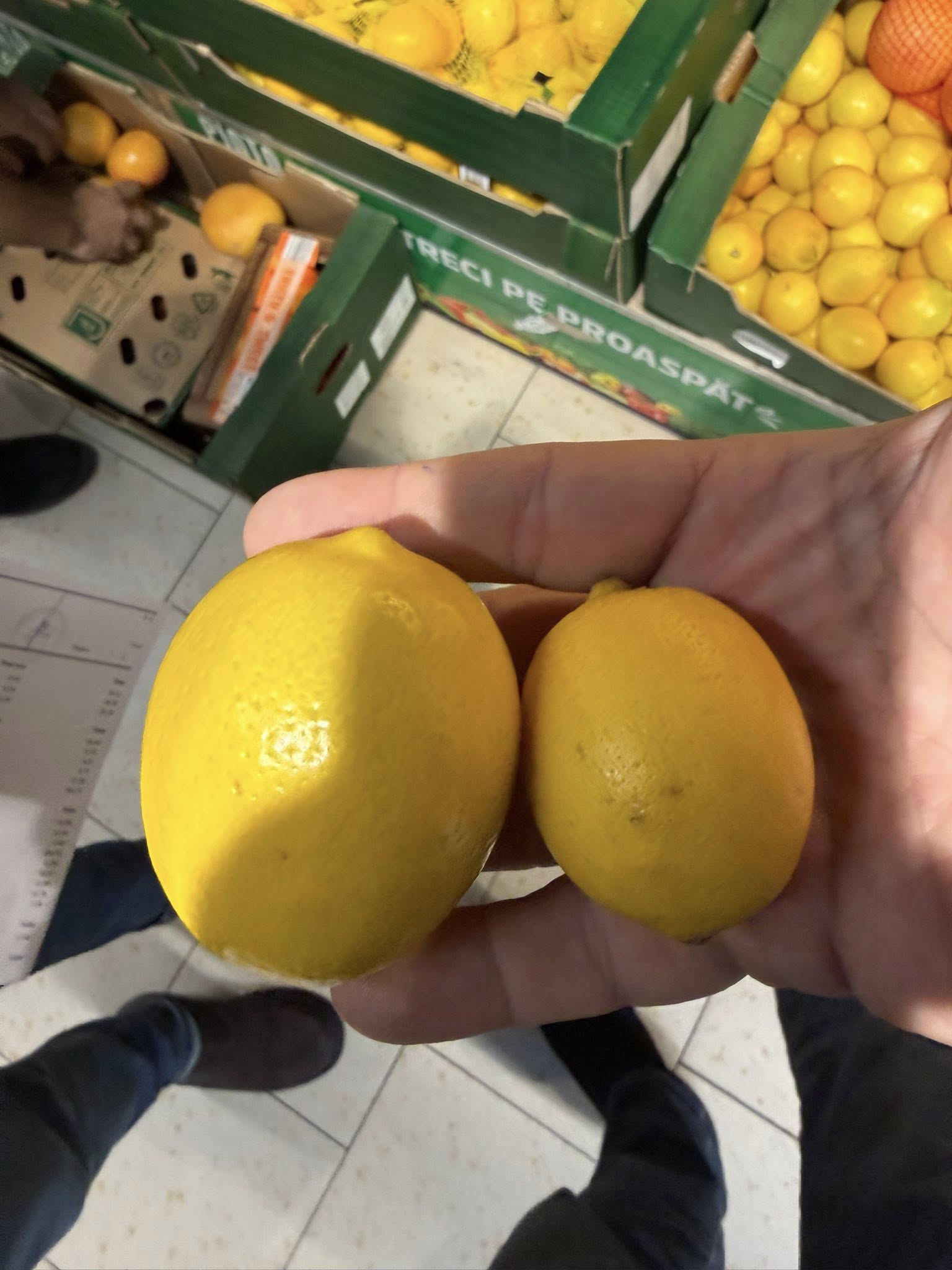 Scandalul citricelor. Șeful ANPC: „Suntem bătaia de joc a importatorilor. În orice țară civilizată sunt furaj. Cum ajung la raft? ” 2