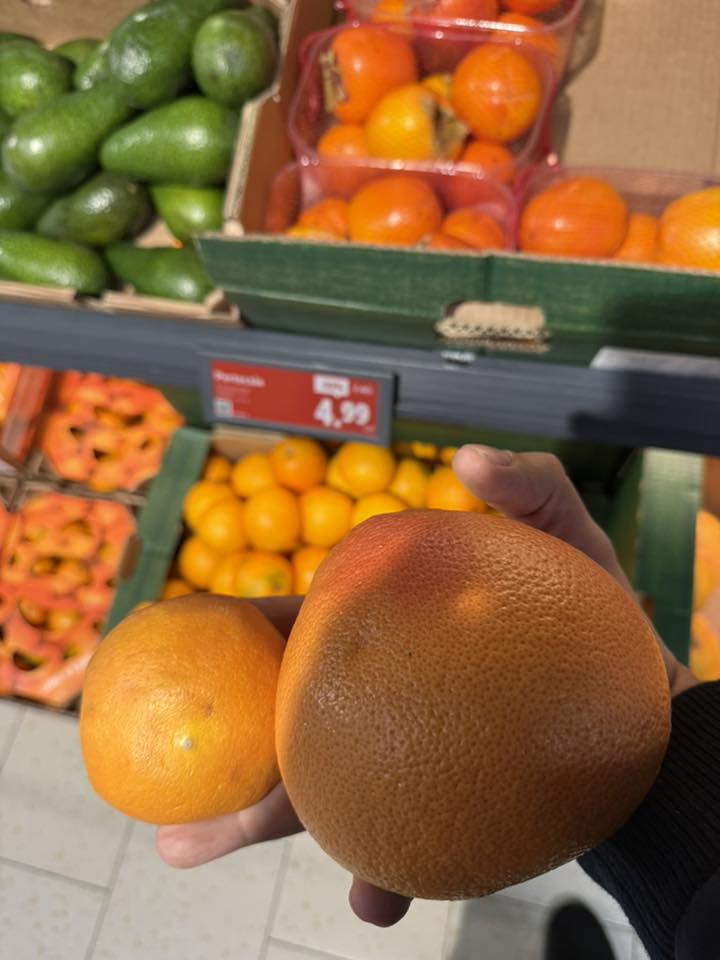 Scandalul citricelor. Șeful ANPC: „Suntem bătaia de joc a importatorilor. În orice țară civilizată sunt furaj. Cum ajung la raft? ” 1