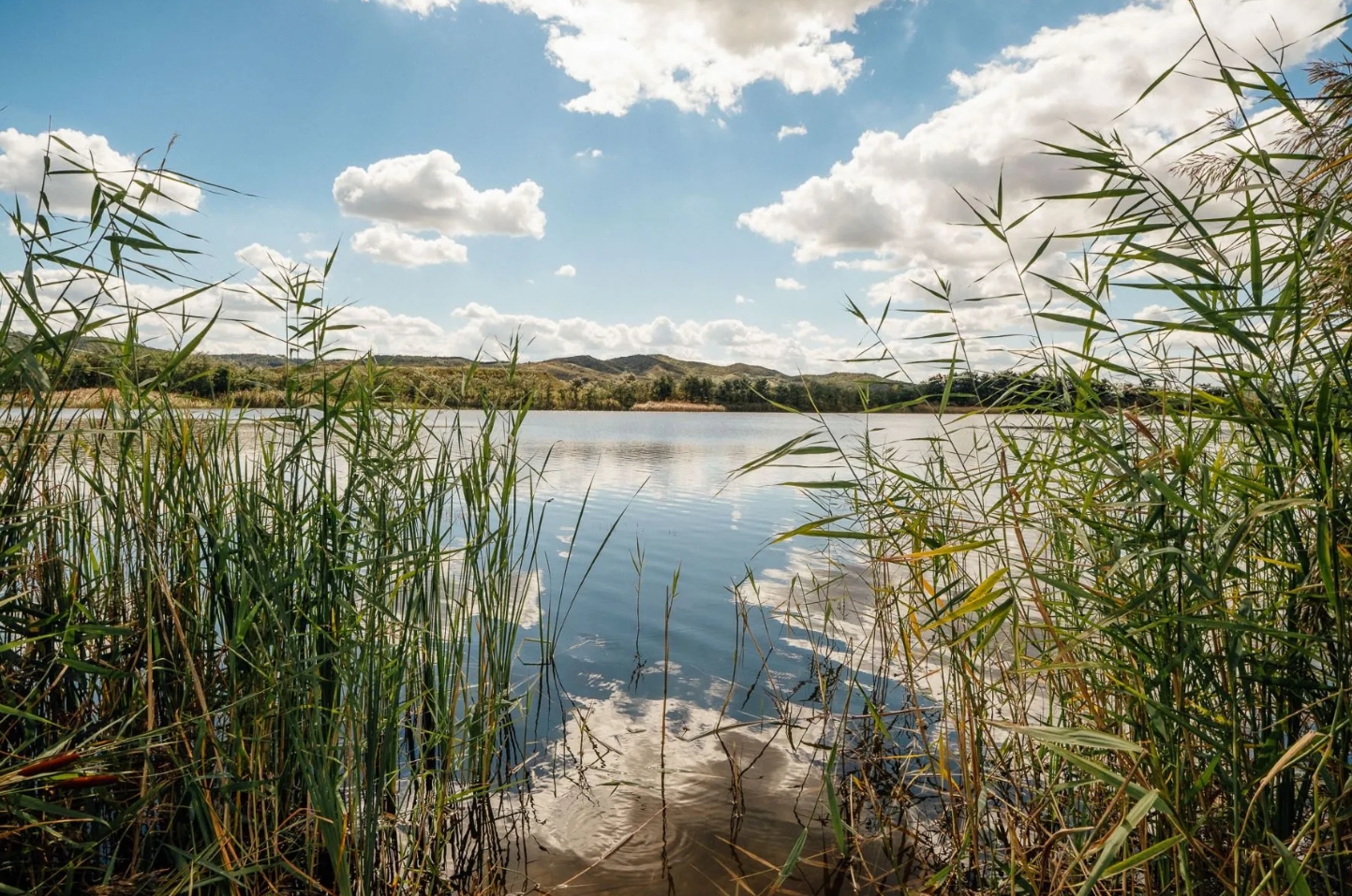 O bijuterie naturală din Cluj a fost scoasă la vânzare. Cât cere proprietarul pentru lacul privat și domeniu de 20 de hectare 4