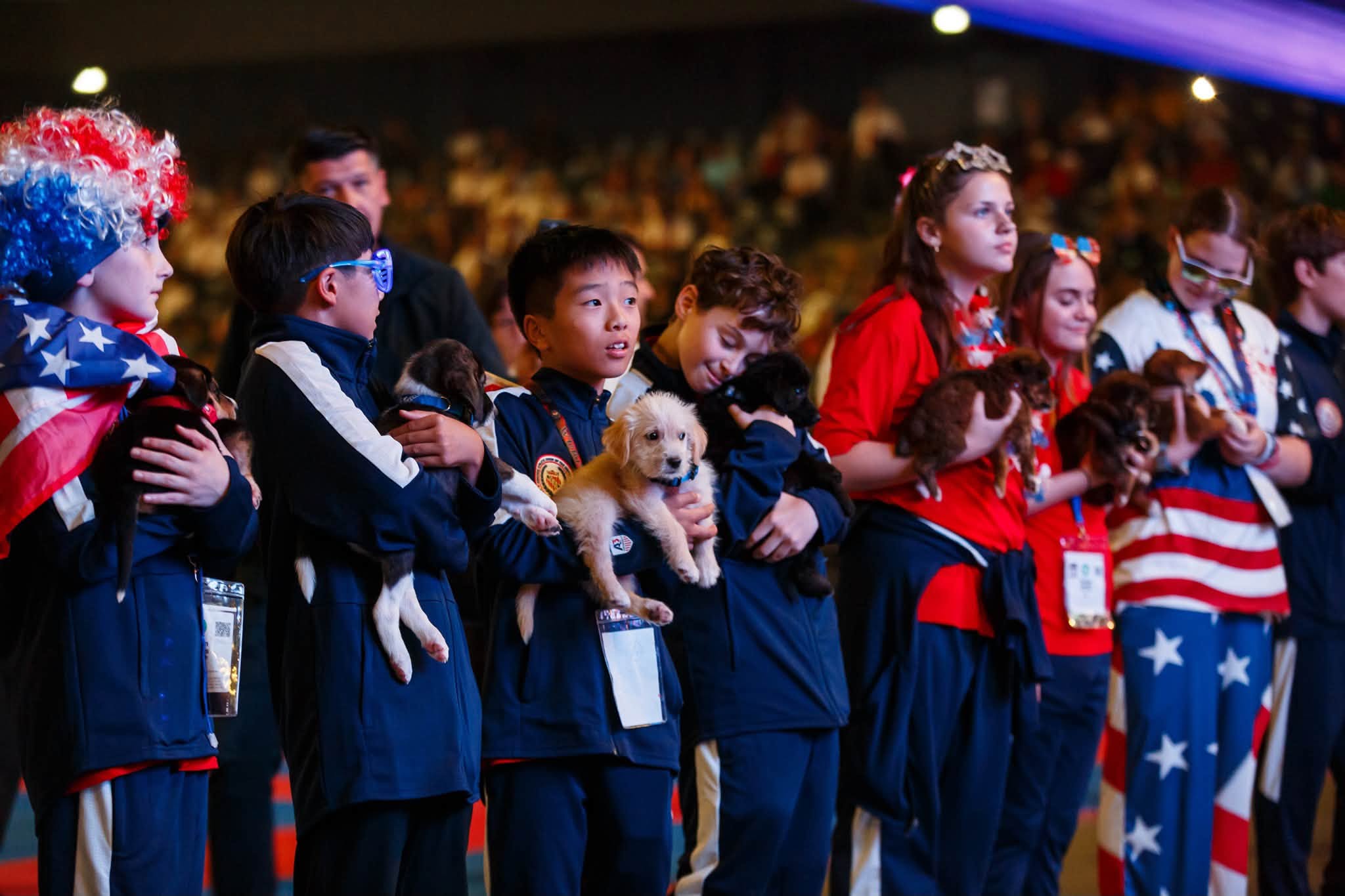 Câinii din adăpostul public al Clujului, prezentați spre adopție la Campionatul Mondial de Karate WUKF 3