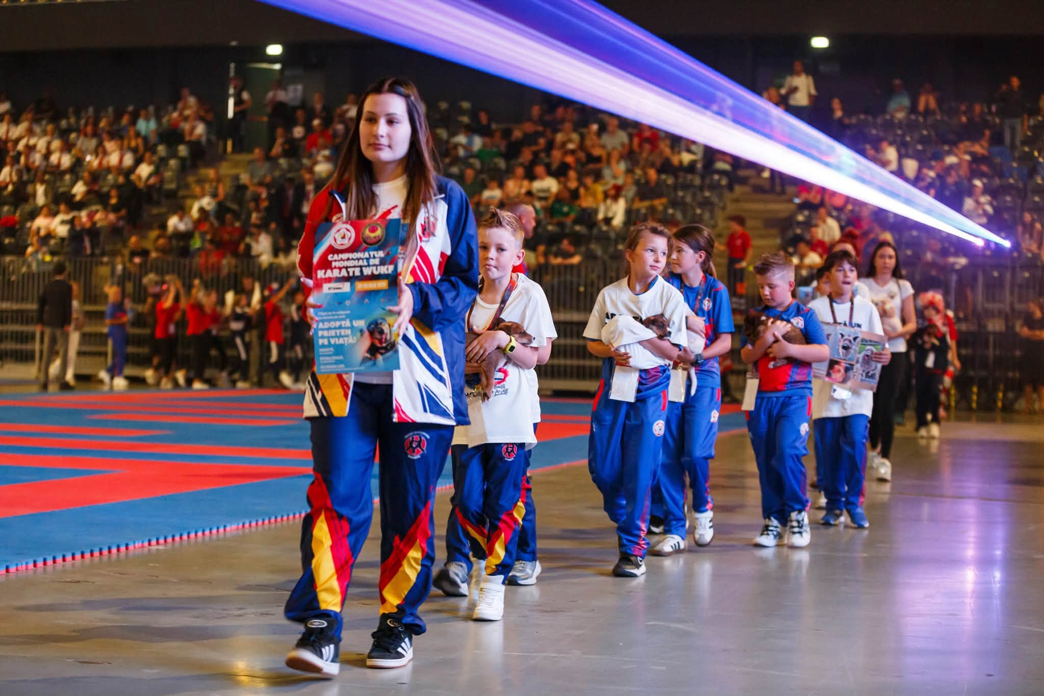 Câinii din adăpostul public al Clujului, prezentați spre adopție la Campionatul Mondial de Karate WUKF 2